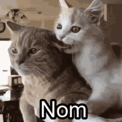 Nom Ear GIF