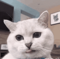 Nom Nom Nom Eating GIF