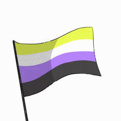 Non-binary Flag White Background
