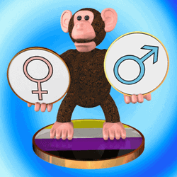 Non-binary Monkey Holding Genders