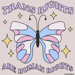 Non-binary Trans Rights
