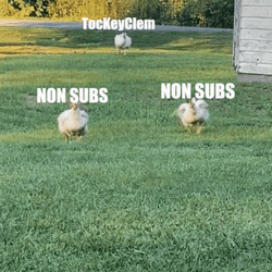 Non Subs Chicken Run  GIF