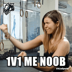 Noob 1 Vs 1 GIF