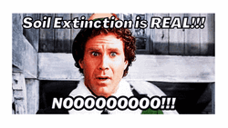 Nooo Will Ferrell GIF