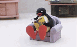 Noot Noot Busy Reading GIF