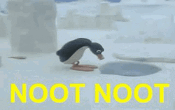Noot Noot Looking At Hole GIF