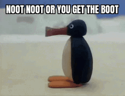 Noot Noot You Get The Boot GIF