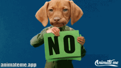 Nope Nope Nope Grumpy Dog Face Swap GIF