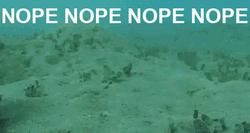 Nope Nope Nope Octopus Swimming Away GIF