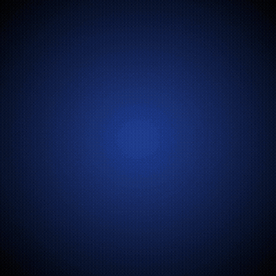 Nor-Cal Alliance For The Missing Logo Blue Background GIF