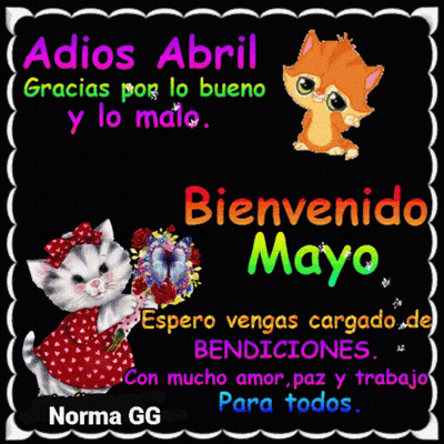 Norma Gg Has Created A Greeting Card With A Cat Holding Flowers GIF