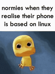Normies Phone Based On Linux