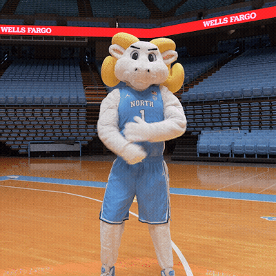 North 1 Basketball Mascot Standing On Court GIF