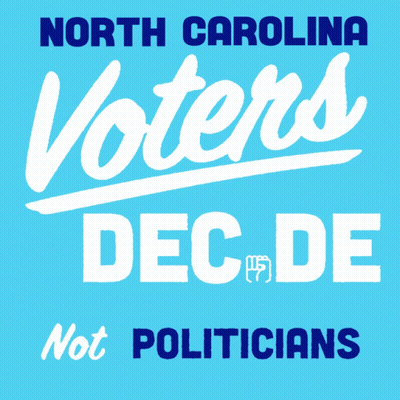 North Carolina Voters Decide Sign GIF