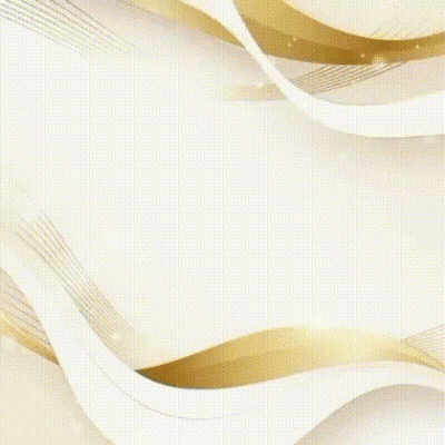 North Server Logo White And Gold Background GIF