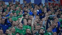 Northern Ireland Cheering Crowd  GIF