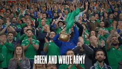 Northern Ireland Football Team Fans  GIF