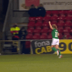 Northern Ireland Football Team Work  GIF