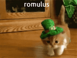 Northern Ireland Irish Romulus GIF