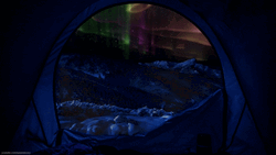 Northern Lights View From The Tent GIF
