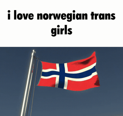Norwegian Flag Flying I Love Norwegian Trans Girls GIF