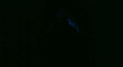 Nosferatu Come Out From Darkness GIF