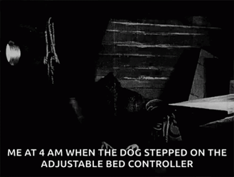 Nosferatu Me When Dog Stepped On Bed Controller GIF
