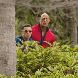 Nosy Baywatch Dwayne Johnson Zac Efron GIF