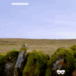 Nosy Panda With Binoculars GIF