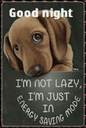 Not A Lazy Dog Have A Great Night GIF
