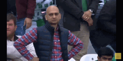 Not Amused Bald Guy Meme GIF