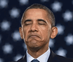 Not Bad Barrack Obama GIF