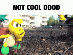 Not Cool Dood Sml Koopa Troopa GIF
