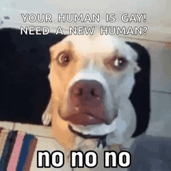 Not Funny Haha Not Funny GIF