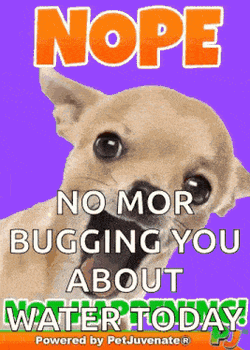 Not Happening Dide A Fur Baby Dog Mom Boop Bork Blep Boof And Hound Dog GIF