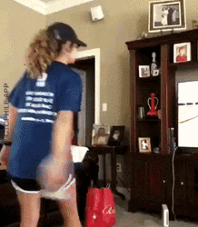 Not Impressed Dog Watching Bowling  GIF