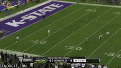 Not Impressed Football Coach  GIF