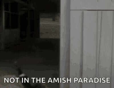 Not In Amish Paradise Sign With Cat GIF