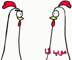 Not Me Meme Chicken Bro GIF