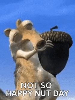Not So Happy Nut Day GIF