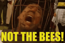 Not The Bee Torture Meme GIF