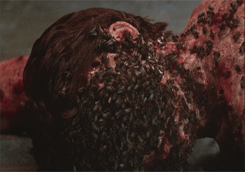 Not The Bees Covered In Your Face GIF