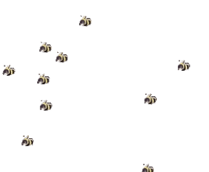 Not The Bees Everywhere GIF