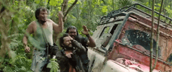 Not The Bees Flying Bees GIF