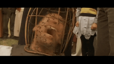 Not The Bees Man In The Cage GIF