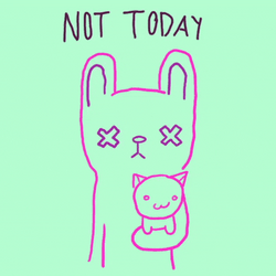 Not Today Friendly Cat GIF