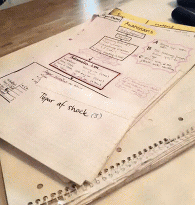 Notebook Open To Type Of Work GIF