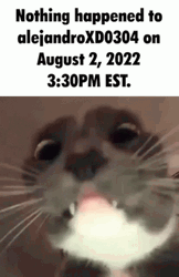 Nothing Happened To Alejandro GIF