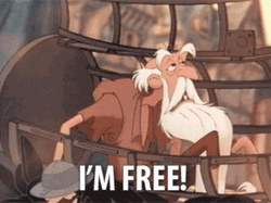 Notre Dame I'm Free GIF