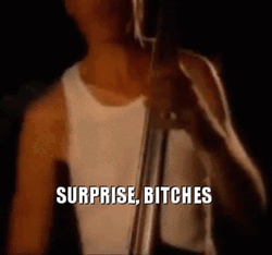 Notre Dame Surprise GIF